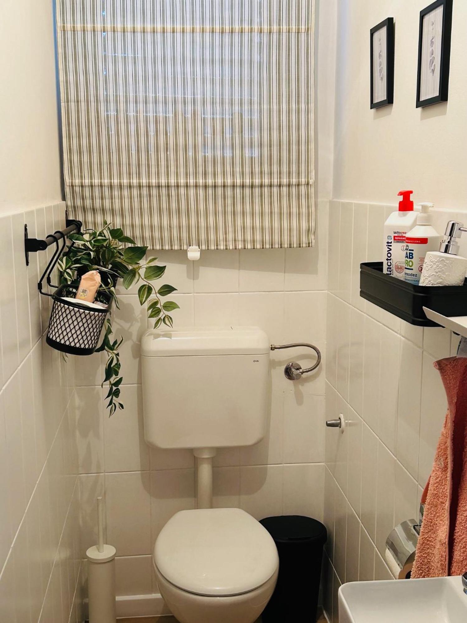 Starlight House Appartement Bjelovar Buitenkant foto